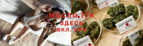 шишки Чекалин