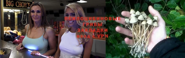 мяу мяу мука Нязепетровск