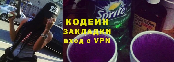 соль ск Няндома