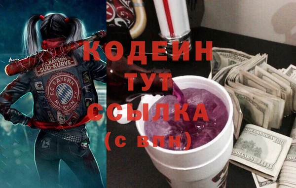 соль ск Няндома