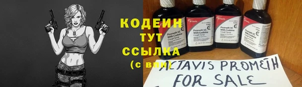 соль ск Няндома
