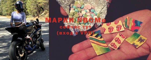 МДПВ Бородино