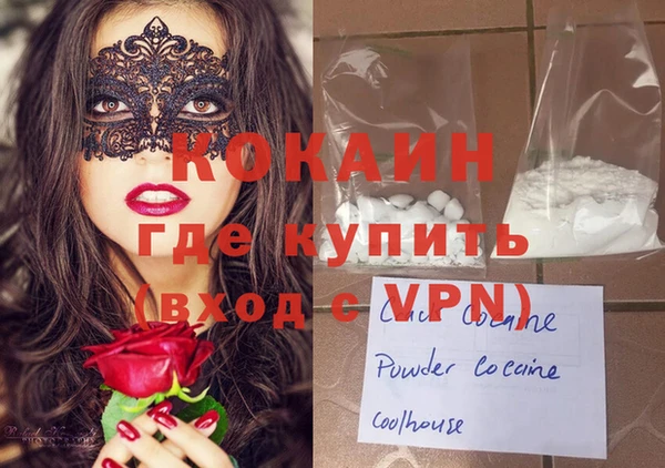 соль ск Няндома