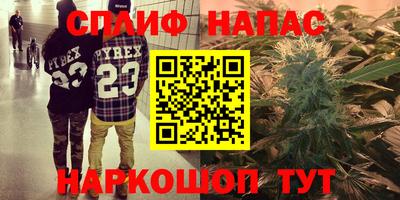 гидра Дубна