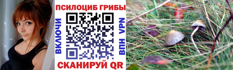 Галлюциногенные грибы ЛСД  Чусовой 